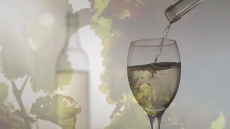 Animation-Von-Weißwein,-Der-Auf-Einem-Hintergrund-Mit-Trauben-In-Ein-Glas-Gegossen-Wird
