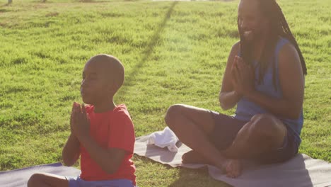 Video-Eines-Afroamerikanischen-Vaters-Und-Sohnes,-Der-An-Einem-Sonnigen-Tag-Yoga-Auf-Gras-Praktiziert