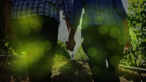 Animation-of-lights-over-midsection-of-caucasian-couple-holding-hands-and-walking-at-vineyard