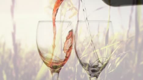 Animation-of-white-and-rose-wine-pouring-into-glass-on-background-with-trees