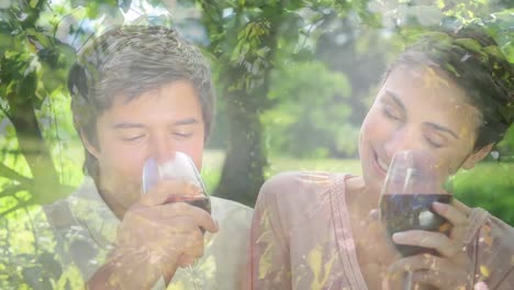 Animation-of-lights-over-happy-caucasian-couple-having-picnic-with-wine-on-sunny-day
