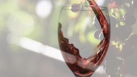 Animation-of-rose-wine-pouring-into-glass-on-background-with-grapes