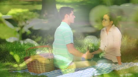 Animation-of-lights-over-happy-caucasian-couple-having-picnic-with-wine-on-sunny-day