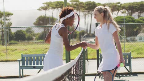 Video-Von-Glücklichen,-Vielfältigen-Tennisspielerinnen,-Die-Schläger-Halten-Und-Hände-Schütteln