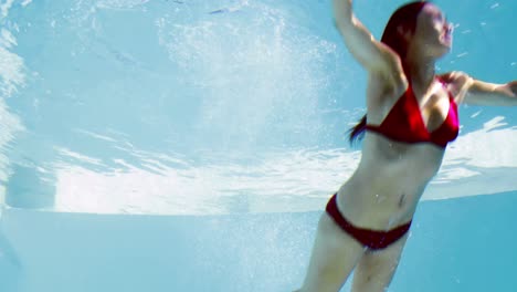Fit-brunette-in-bikini-diving-into-swimming-pool-