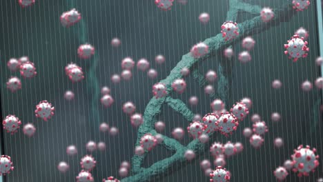 Animation-Von-Viruszellen-über-DNA-Strang