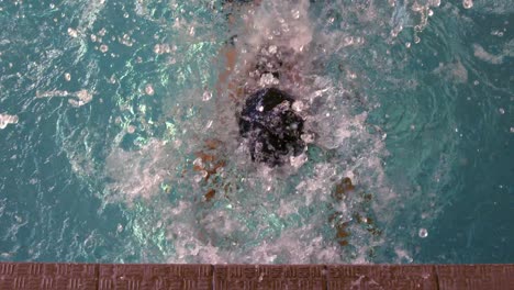 Nadador-En-Forma-Nadando-Hasta-El-Borde-De-La-Piscina.