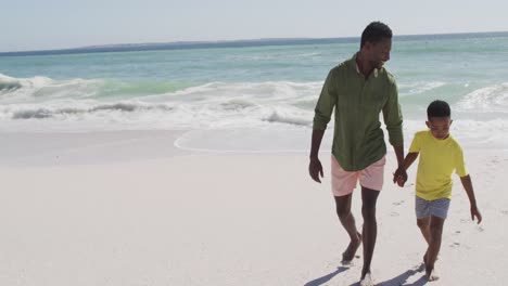 Smiling-african-american-father-with-son-walking-on-sunny-beach