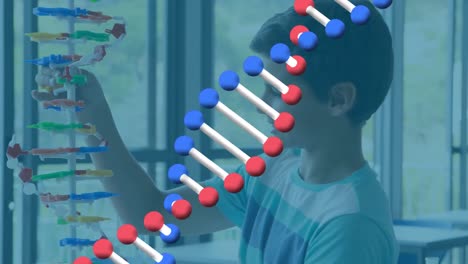 Animation-of-dna-strand-over-caucasian-schoolboy-with-model