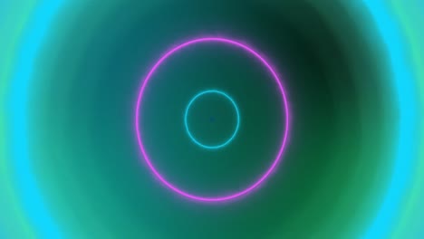 Animation-of-yellow,-blue,-pink-and-green-pulsating-neon-circles-on-green-background