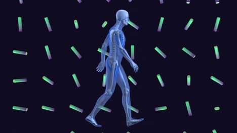 Animation-Des-Menschlichen-Körpermodells-Und-Der-Formen-Auf-Dunklem-Hintergrund