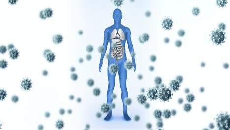 Animación-De-Células-De-Virus-Que-Caen-Sobre-El-Modelo-Del-Cuerpo-Humano