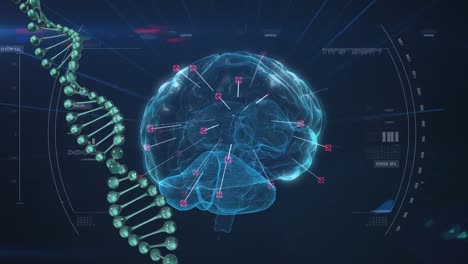 Animation-of-digital-brain-and-data-processing-on-blue-background