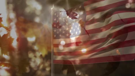Animation-Von-Bäumen-Und-Blättern-über-Der-Flagge-Der-USA
