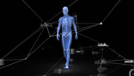 Animation-Eines-Netzwerks-Von-Verbindungen-Und-Datenverarbeitung-über-Einem-Menschlichen-Körpermodell