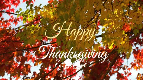 Animation-of-happy-thanksgiving-text-over-trees-in-park