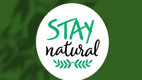 Animation-of-stay-natural-text-on-green-background
