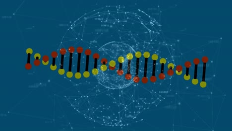 Animation-Eines-DNA-Strangs,-Der-Sich-über-Ein-Netzwerk-Von-Verbindungen-Auf-Blauem-Hintergrund-Dreht