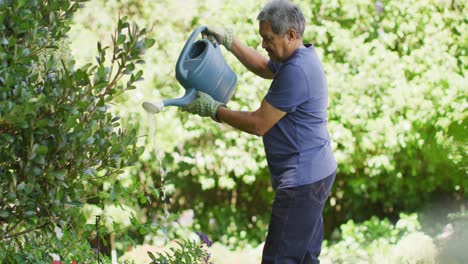 Video-of-focused-biracial-senior-man-watering-plants-in-garden