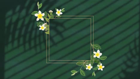 Animation-of-frame-with-flowers-over-leaf-shadow-on-green-background