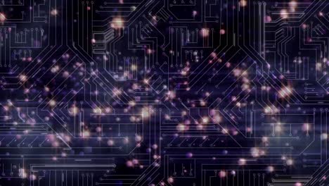 Animation-of-lights-floating-over-integrated-circuit-over-violet-background
