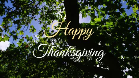 Animation-of-happy-thanksgiving-over-sun-and-tree