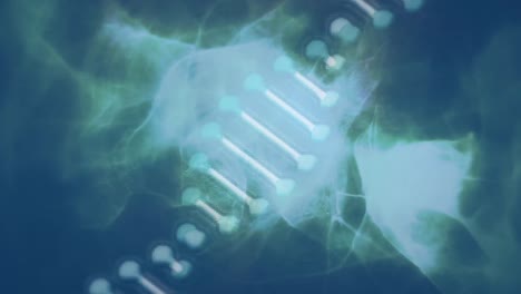 Animation-of-dna-rotating-over-black-background-with-green-smoke