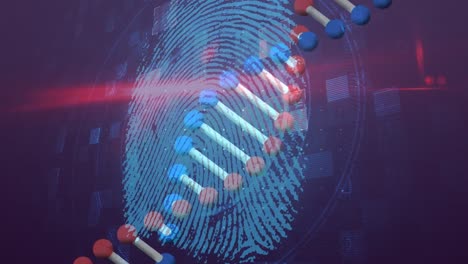 Animation-Von-DNA-Und-Fingerabdruck-Auf-Marineblauem-Hintergrund