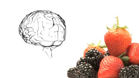 Animation-Des-Gehirns,-Das-Sich-Auf-Weißem-Hintergrund-Mit-Erdbeeren-Und-Schwarzen-Beeren-Dreht