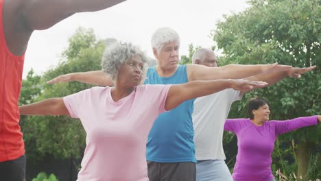 Glückliche-ältere,-Vielfältige-Menschen,-Die-Im-Garten-Des-Altersheims-Yoga-Praktizieren