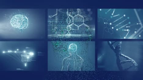 Animation-of-digital-human-and-data-processing-on-blue-background