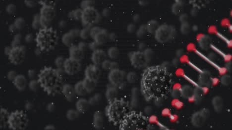 Animation-Eines-DNA-Strangs,-Der-Sich-über-Covid-19-Zellen-Dreht-Und-Auf-Dunklen-Hintergrund-Fällt