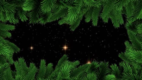 Animation-Des-Weihnachtstannenbaums-über-Sternen-Auf-Schwarzem-Hintergrund