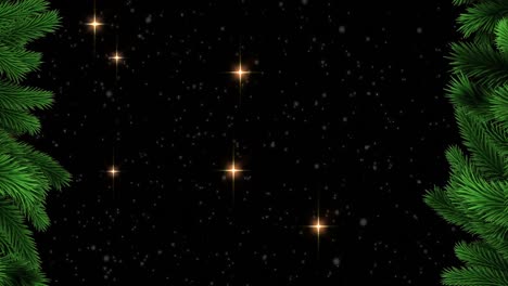 Animation-of-christmas-fir-tree-over-stars-on-black-background