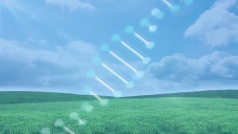 Dna-structure-spinning-against-landscape-with-grass-and-blue-sky