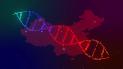 Animation-Eines-DNA-Strangs,-Der-Sich-über-Der-Karte-Von-China-Dreht