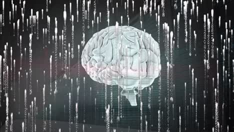 Animation-of-data-processing-and-human-brain-over-dark-background