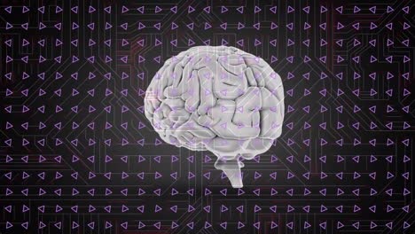 Animation-of-data-processing-and-human-brain-over-dark-background