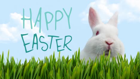 Animation-of-happy-easter,-white-bunny-and-grass