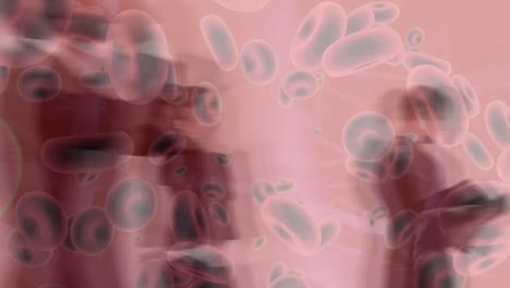 Animation-of-blood-cells-over-diverse-business-people-walking