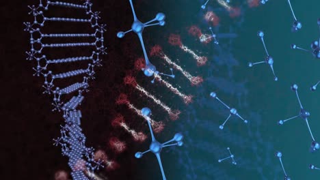Animation-Eines-DNA-Strangs-über-Molekülen-Auf-Blauem-Hintergrund