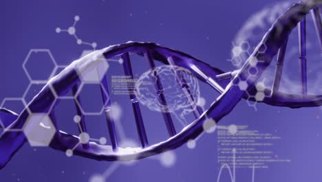 Medizinische-Datenverarbeitung-über-DNA-Struktur,-Die-Sich-Vor-Blauem-Hintergrund-Dreht