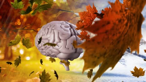 Autumn-leaves-falling-over-human-brain-icon-spinning-against-tree-on-winter-landscape