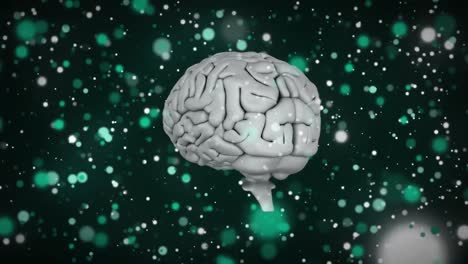 Menschliches-Gehirn-Dreht-Sich-Vor-Grünen-Lichtflecken-Auf-Schwarzem-Hintergrund