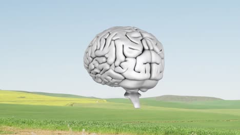 Human-brain-icon-spinning-against-landscape-with-grass-and-blue-sky