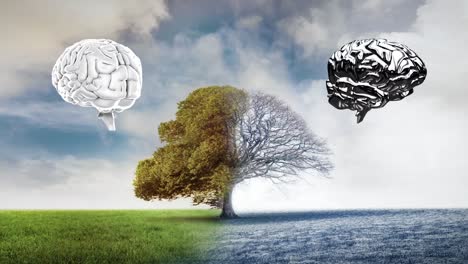 Zwei-Menschliche-Gehirnsymbole-Drehen-Sich-Vor-Einer-Landschaft-Mit-Bäumen-Und-Wolken-Am-Blauen-Himmel