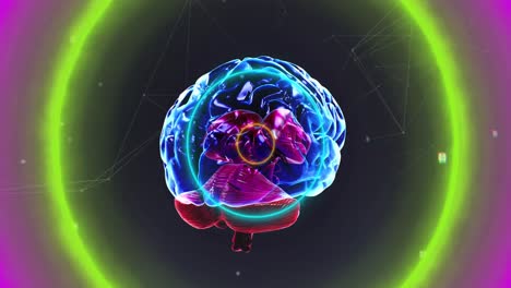 Animation-of-brain-and-shapes-on-black-background