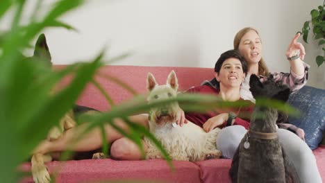 Kaukasisches-Lesbisches-Paar,-Das-Zu-Hause-Mit-Seinen-Hunden-Auf-Der-Couch-Sitzt-Und-Miteinander-Redet