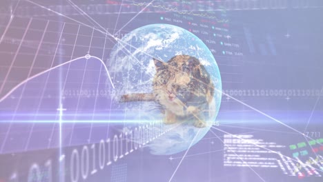 Animation-of-data-processing-and-globe-over-white-background-and-cat
