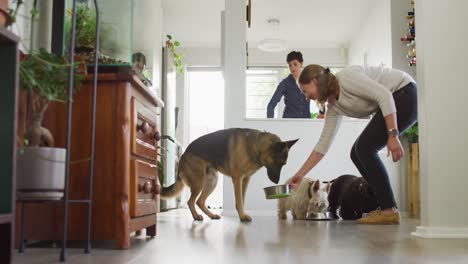 Kaukasische-Frau-Füttert-Ihre-Hunde-Im-Wohnzimmer-Zu-Hause